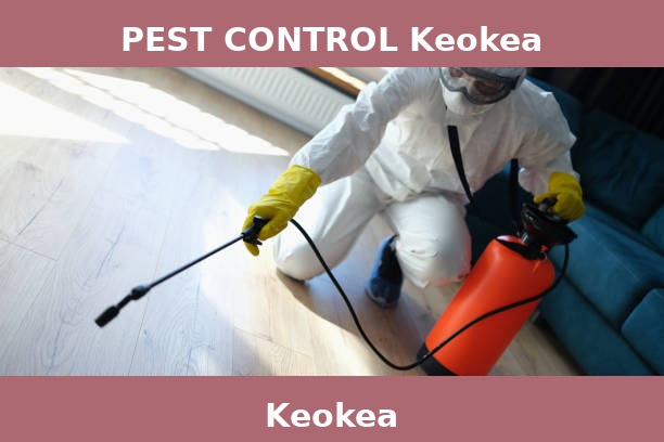 PEST CONTROL Keokea